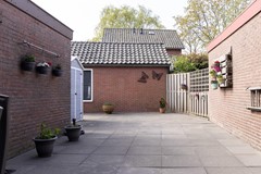 Tuin 4.jpg